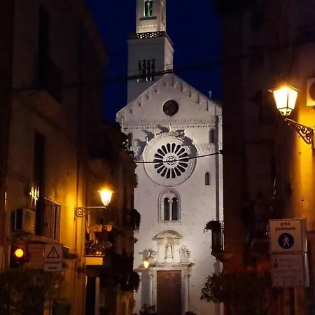 Apartment Putignani 210