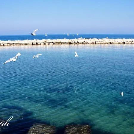 Putignani 210 Apartament